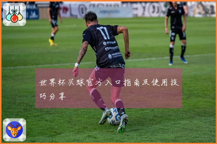 世界杯买球官方入口指南及使用技巧分享