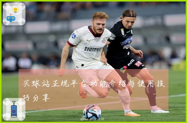 买球站正规平台功能介绍与使用技巧分享