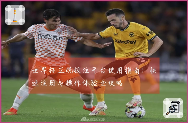 世界杯正规投注平台使用指南：快速注册与操作体验全攻略