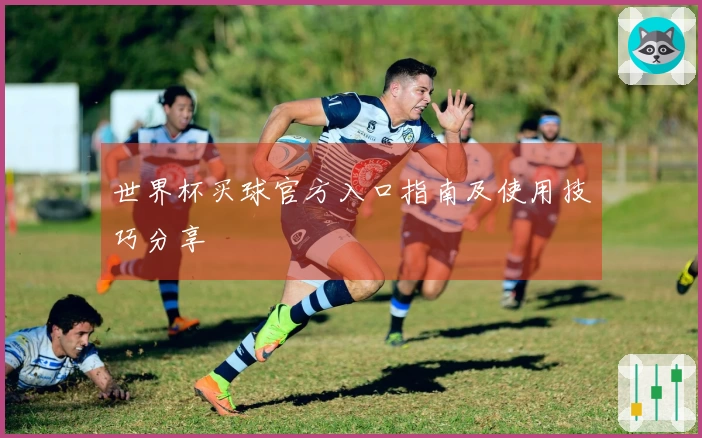 世界杯买球官方入口指南及使用技巧分享