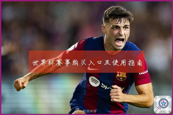 世界杯赛事购买入口及使用指南
