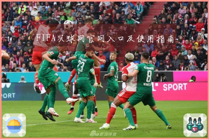 FIFA买球网官网入口及使用指南