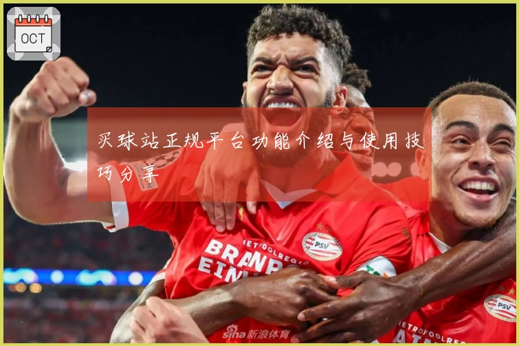 买球站正规平台功能介绍与使用技巧分享