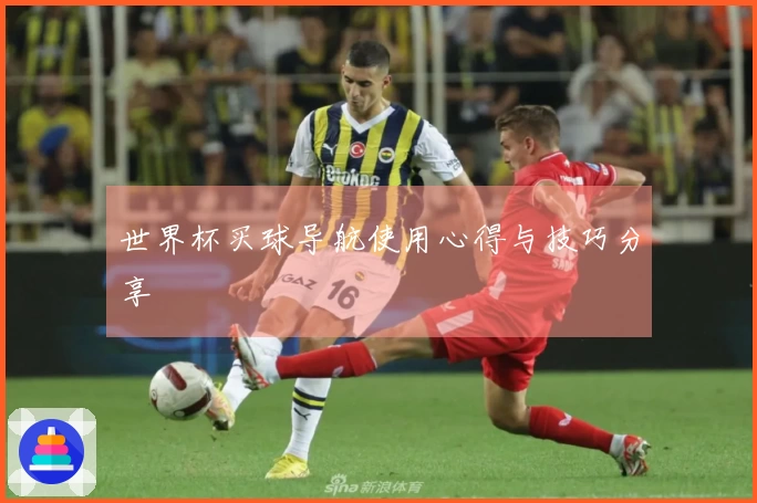 世界杯买球导航使用心得与技巧分享