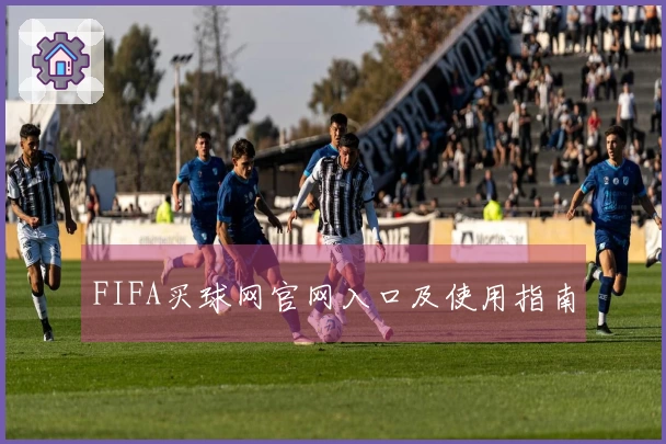 FIFA买球网官网入口及使用指南