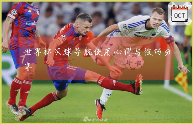 世界杯买球导航使用心得与技巧分享