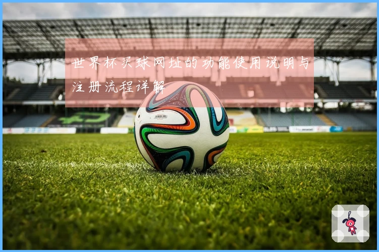 世界杯买球网址的功能使用说明与注册流程详解