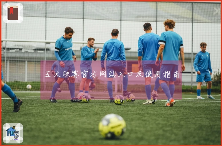 五大联赛官方网站入口及使用指南